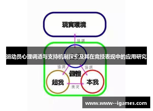 运动员心理调适与支持机制探索及其在竞技表现中的应用研究 运动员心理调适与支持机制探索及其在竞技表现中的应用研究