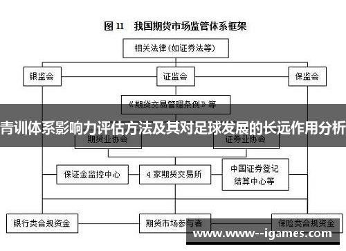 青训体系影响力评估方法及其对足球发展的长远作用分析 青训体系影响力评估方法及其对足球发展的长远作用分析